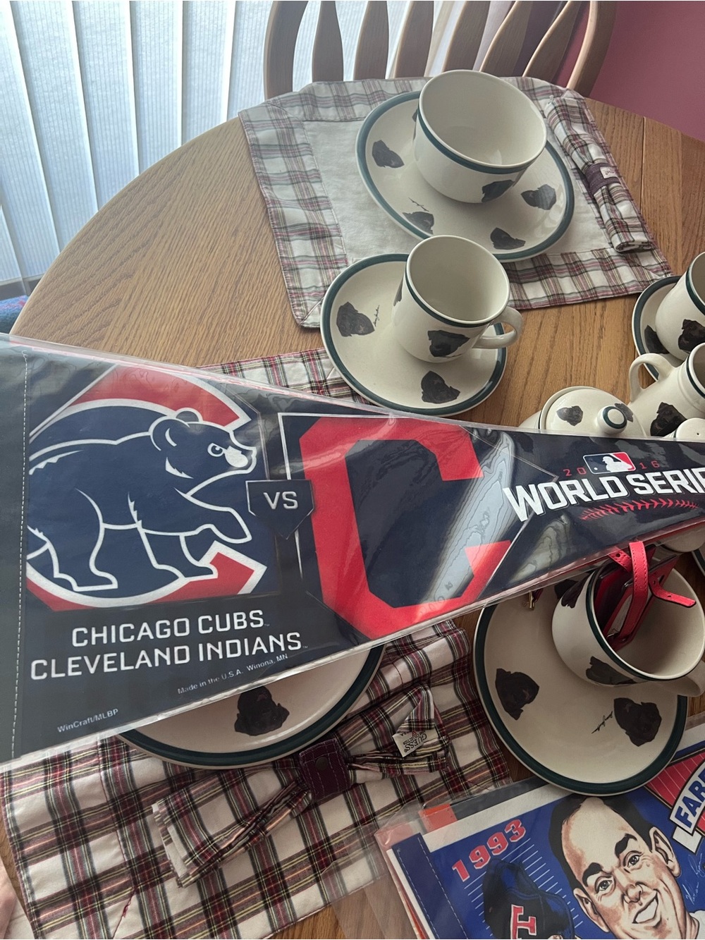 Chicago Cubs vs Cleveland Indians World Series Pennant